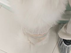 -怪兽屋·羊驼·猫咖·狗咖(俊华广场店)