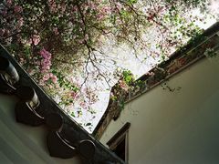 -深圳国际园林花卉博览园