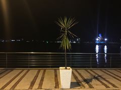 -巨鹰广场