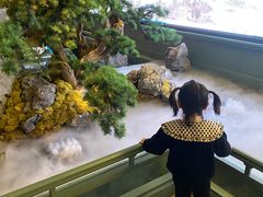 -潮上潮(南中环店)