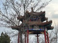 -白水寺森林公园