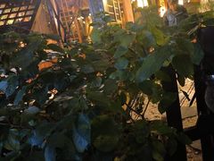 -西西里轰趴日租聚会别墅·团建拓展