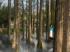 -东湖落雁景区