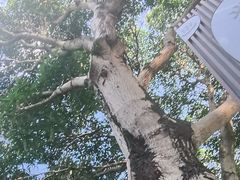 -碧水湾温泉