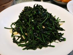 上汤辣椒叶-南海渔村(珠江新城店)