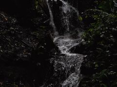 -莫里热带雨林景区