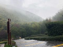 -天目湖御水温泉·度假酒店