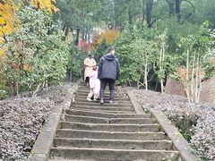 -大金鹰园