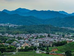 -龙坞茶村
