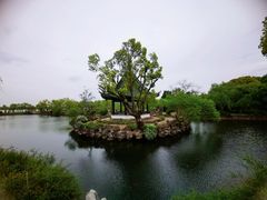-无锡蠡湖国家湿地公园-蠡园