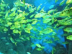 -福州罗源湾海洋世界旅游区