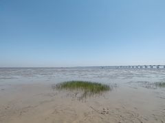 -南汇新城海滩