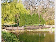 -棒棰岛宾馆景区