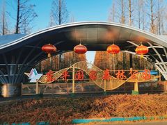 -东平国家森林公园