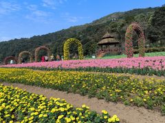 -广州市石门国家森林公园