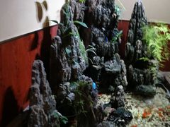 -鑫水汇汤浴