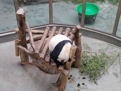 -天目湖御水温泉·度假酒店