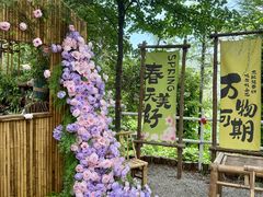 -沂蒙山旅游区云蒙景区(蒙山国家森林公园)