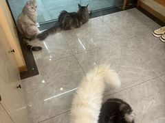 -上海第一八佰伴