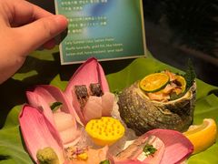 -地球美食剧场