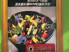 -小娘惹厨房Little Nyonya(狮城有约上榜店)