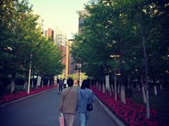 -长白岛森林公园