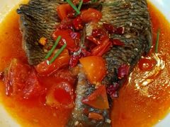 -新世纪酒店(阳朔西街店)