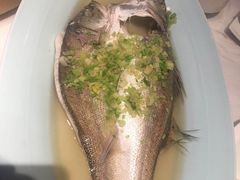 海参黄鱼羹-宁波石浦大饭店(新材料城店)