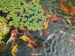 -杭州西湖柳莺里酒店