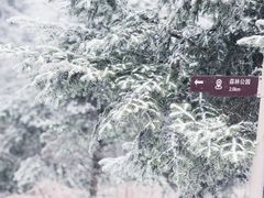 -四明山国家森林公园