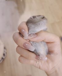 -恐龙·美甲美睫