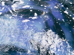 -雪野鱼头大王邢府公老店(雪野湖店)