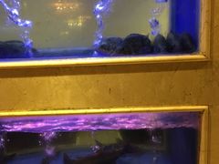 -阿英煲(凉城路店)