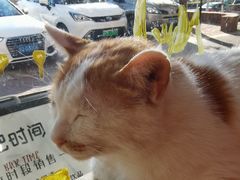 -平行世界·猫咖(首经贸店)