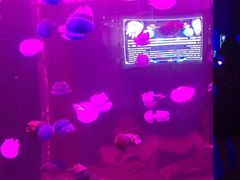 -多彩贵州城极地海洋世界