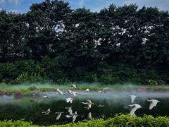 -广州长隆飞鸟乐园