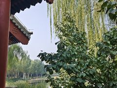 -北坞公园