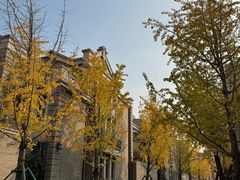 -上海白云观