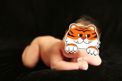 -小鬼当佳儿童摄影(龙德广场店)