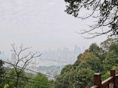 -南山植物园
