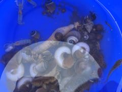 -东戴河风景区-止锚湾