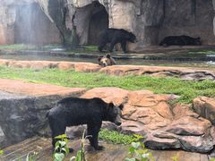 -海南热带野生动植物园