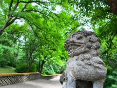 -沈阳市东陵公园