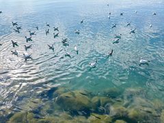 -青海湖二郎剑景区