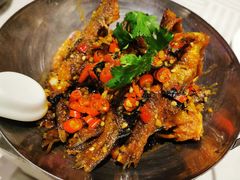 -石头咕(葵蓬店)