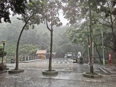 -红花湖景区
