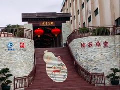 -广州神农草堂中医药博物馆