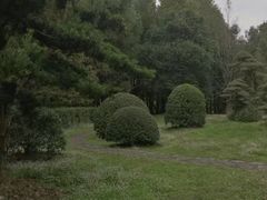 -东湖落雁景区