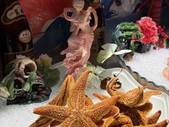 -海德温泉酒店