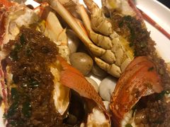 -甄御•海鲜新青岛菜(麦岛店)